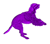 Small Flying Zoey